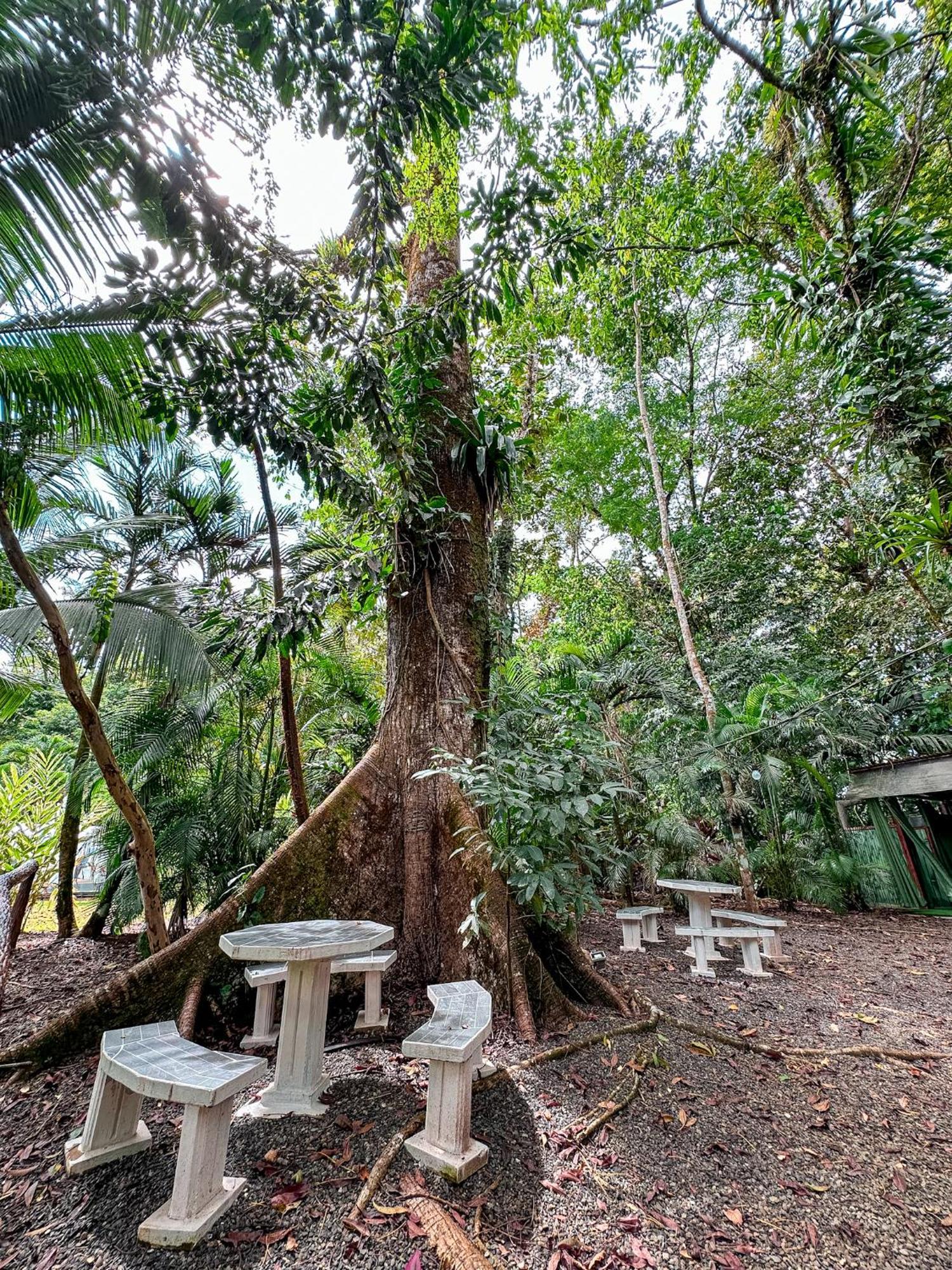 Cabanas Rio Escondido En La Fortuna Exterior photo